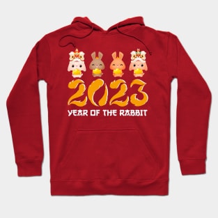 Year Of The Rabbit 2023 Happy Chinese New Year Women Men Kid Hoodie